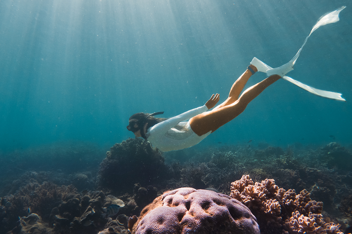 Snorkeling in North Sulawesi